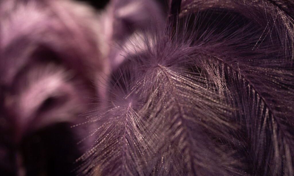 Textured interior surface at The Circle couples retreat Berlin enhancing intimacy through materiality.